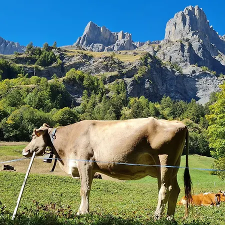 Bellathos Appartement Loèche-les-Bains